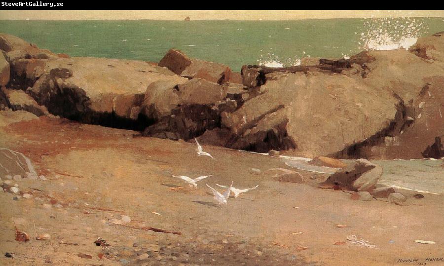 Winslow Homer Rocky shore and the seagulls